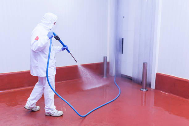 Best Paint Preparation  in Graham, TX